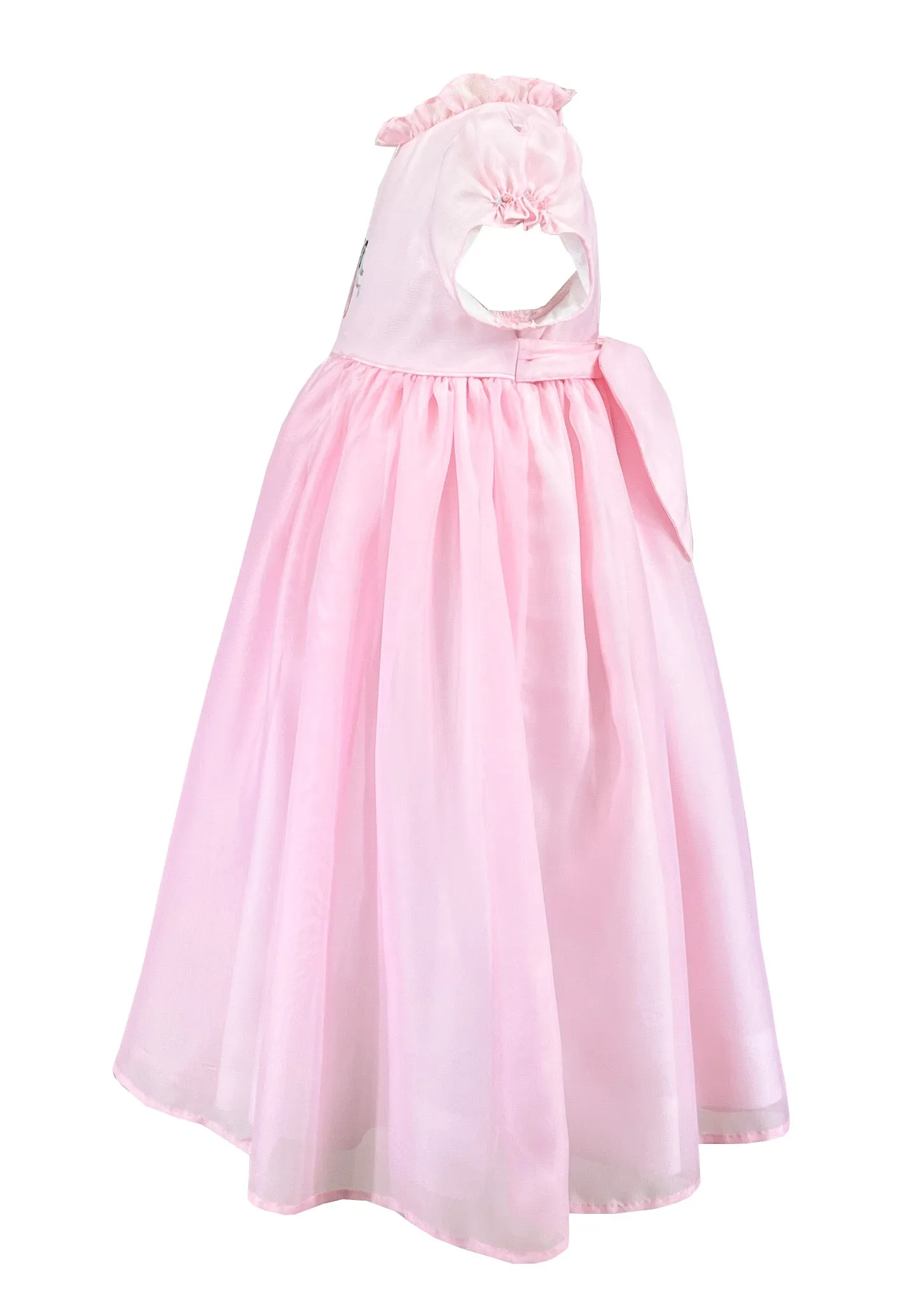 Ballet Slippers Pink Embroidered Dress