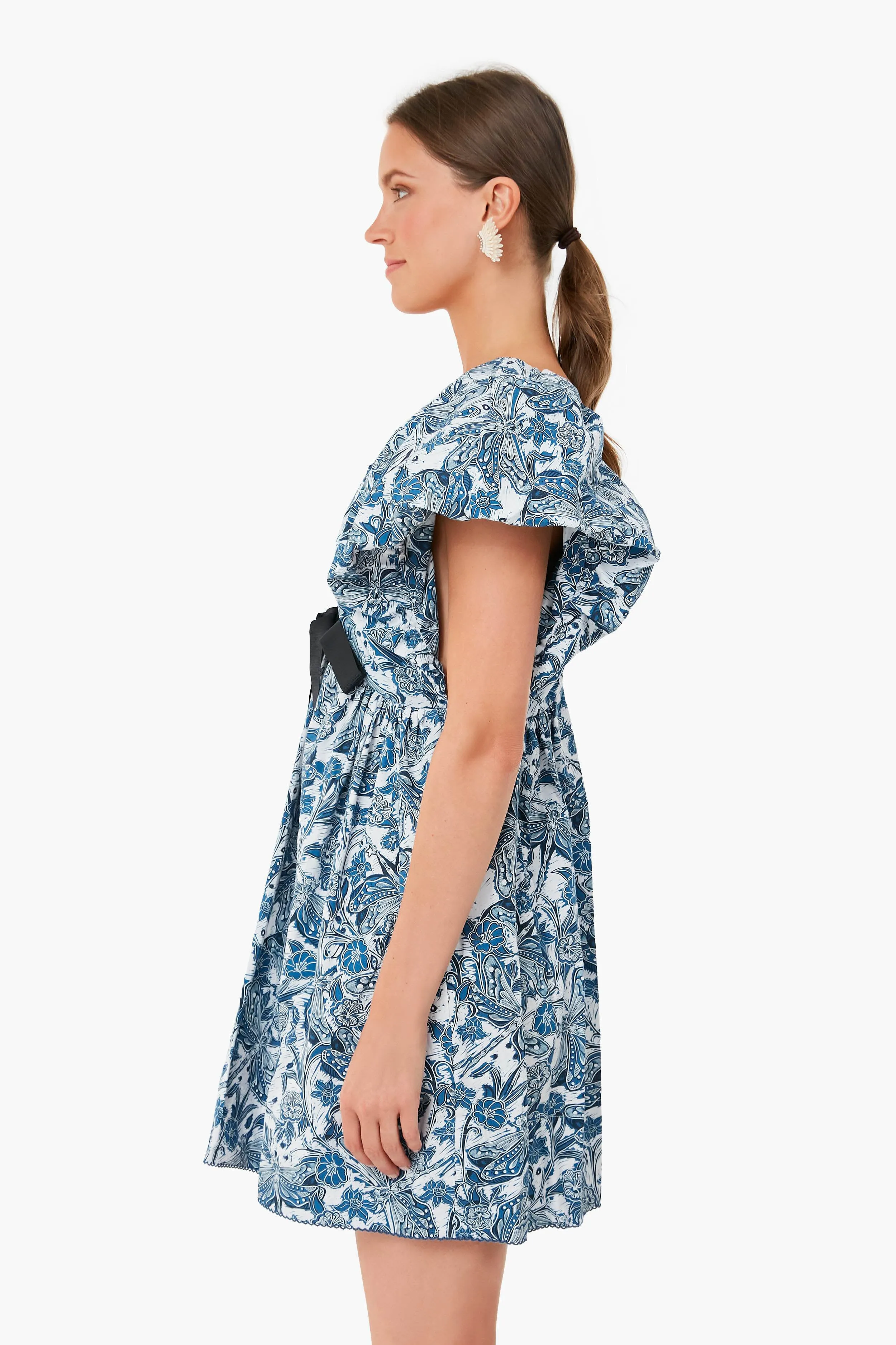 Libelulas Noche Horizonte Mini Dress
