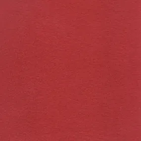 Red Fleece Bolt Fabric